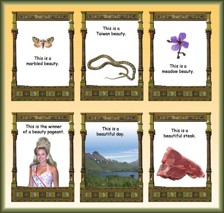 Victor Gallis discusses beauty.