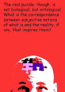 Victor Gallis considers consciousness.