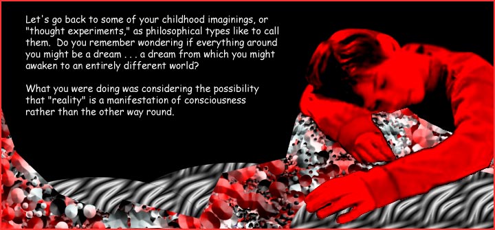 Victor Gallis considers consciousness.