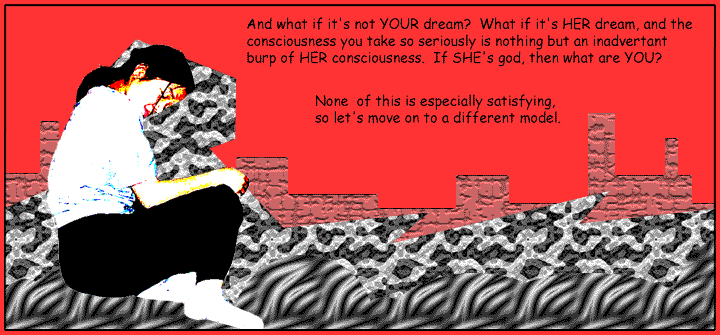 Victor Gallis considers consciousness.