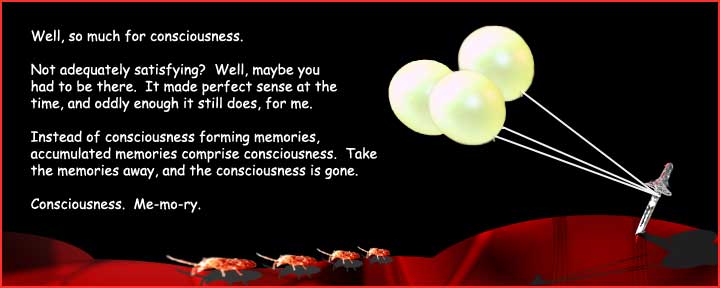 Victor Gallis considers consciousness.
