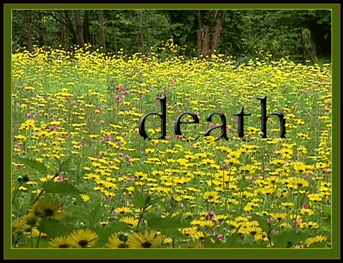Victor Gallis considers death.